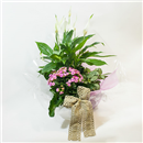 https://bonovo.isisflor.com/fileuploads/Produtos/Plantas Naturais/thumb__Um_Jardim_Para_Ti_01.jpg